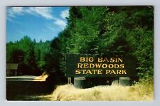 Big Basin CA-California, Big Basin Redwoods State Park, Vintage Postcard picture