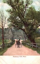 Postcard MA Middlesex Fells Horse Drawn Cart Undivided Back Vintage PC H705 picture