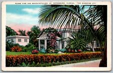 St. Petersburg Florida 1920s Postcard Flame Vine And Bougainvillaea picture