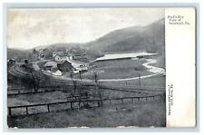1907 Bird's Eye View Of Seitzland Pennsylvania PA Posted Antique Postcard picture