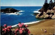 Pacific Ocean Seacoast Oregon Washington Beach VTG Postcard PM Tacoma WA WOB picture