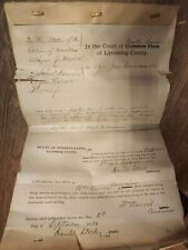 Lycoming COURT Indictment True Bill Transcript Commonwealth Rare Antique 1886 picture