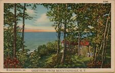 VTG 1944 Greetings from Mountaindale New York Postcard Cabin Water View picture