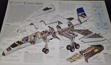 UNIQUE ~ Concorde Jet Plane Illustrated Collectible Aircraft Print Picture picture