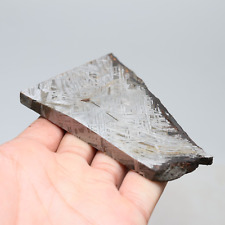 193g  Muonionalusta meteorite part slice C6721 picture