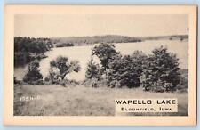 Bloomfield Iowa IA Postcard Wapello Lake And Trees Scenic View c1920's Antique picture