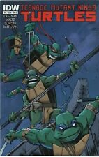 Teenage Mutant Ninja Turtles #11 Duncan Variant Cover A TMNT 2012 IDW Comic picture