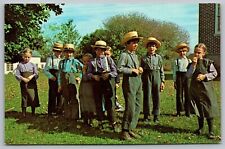 Greetings Amish Country School Religious Sect Lancaster Pennsylvania Postcard picture