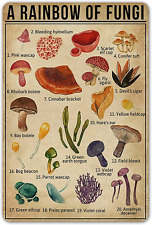 A Rainbow of Fungi Vintage Tin Sign Mushroom Fungi Knowledge Metal Signs Nature  picture