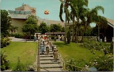 Busch Gardens Tampa Bay  Vintage Postcard spc2 picture
