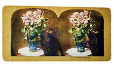 Antique 1906 Stereograph Stereoview Card A FLORAL OFFERING #81 Flower Bouquet picture