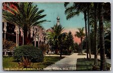 Tampa Florida Tampa Bay Hotel Grounds Scenic Tropical Garden DB Postcard picture