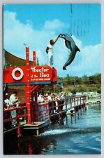 FL Theater of the Sea Porpoise Dolphin Jump Windley Key Islamorada Vtg Postcard picture