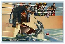 c1940's Feeding Time At Marine Studio Marineland Florida FL Vintage Postcard picture