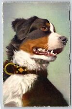 Animal~Switzerland Edition Stehli~St Bernard~Swiss Mountain Dog~Vintage Postcard picture