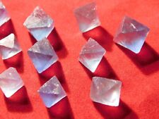 Big Lot of TEN Rare 100% Natural BLUE FLUORITE Octahedron Crystals 18.3gr picture