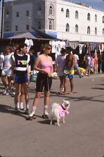 sl62 Original Slide 1980s Venice Beach California girl with dog 799as picture