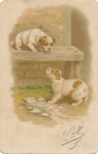 Two Dogs at Bench 1902 Postcard- udb picture