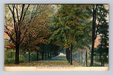 Mt Morris NY-New York, Entrance To Murray Hill Park, Antique Vintage Postcard picture