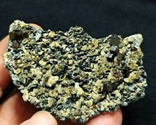 Andradite garnets on matrix with clinochlore 175 grams picture