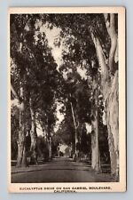 San Gabriel CA- California, Eucalyptus Drive On Boulevard, Vintage Postcard picture