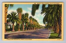 Beverly Hills CA-California Beverly Drive Palm Lined Road c1946 Vintage Postcard picture