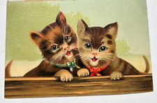 Antique Embossed Postcard Kittens/Cats Germany UNUSED picture