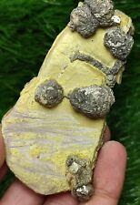 240-gm Natural Pyrite/Marcasite Beautiful Specimen On Matrix With Unique Growth. picture