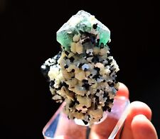 Fluorite, Schorl and Muscovite. Erongo Mts., Namibia. Many penetrating crystals picture