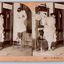 c1890s A Mouse A Mouse  Scared Women Comic Stereo Real Photo Keystone V24 picture