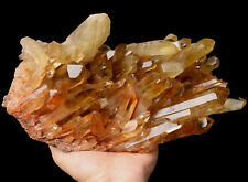 6.72lb  Natural Clear Smoky Citrine Quartz Crystal Cluster Point Healing Mineral picture