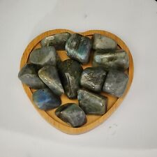 KCGS Jar-O-Tumbles/Chips CHOOSE FRM Petrified Wood, Moon Stone, Labradorite ++++ picture