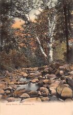 St Johnsbury Vermont~Stony Brook~Birch Trees~Sunset Sky~1905 Postcard picture