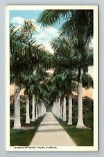 FL-Florida, Avenue Royal Palms, Scenic Path View, Vintage Postcard picture
