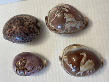 Vintage Tiger Cowrie Carved Shell picture