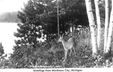 Mackinaw City Michigan~Northwoods Pet~Spotted Fawn Deer~1940s RPPC picture