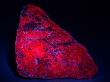 Ruby in Kyanite, fluorescent red. Mysore, India. 1.8 pounds. Video. picture