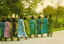 Amish Women After Church-Sunday Stroll- Amish Heartland-Iowa  Postcard M13 picture
