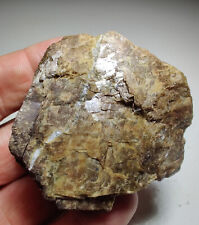 Siderite with Quartz. Conrad Hill Mine, North Carolina. 136 grams. Video. picture