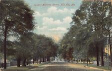 AL~ALABAMA~SELMA~TREE-LINED ALABAMA STREET~MAILED 1907 picture