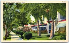 Postcard - A Palm Shaded Residence Street - Florida picture