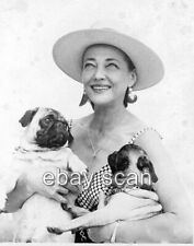 SYLVIA SIDNEY BEAUTIFUL WITH HER PUG DOGS  8X10 PHOTO  493 picture
