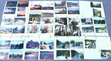 Vintage Esate Snapshot Lot Mixed Bikers Road Trip California Park Forest L7 GL picture