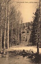 Wind River Trail Estes Park Colorado CO Trees c1910 Postcard picture
