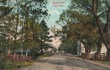 Vintage Postcard Gagetown Residential Place Trees Wooden Fence New Brunswick CA picture