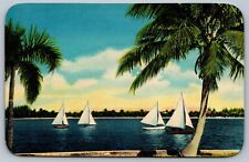 Sailboating Tropical Florida West Palm Beach FL Sailboats Vintage Postcard E27 picture