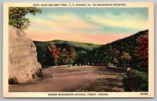 Blue Gray Trail US Highway Shenandoah Mountain George Washington Forest Postcard picture
