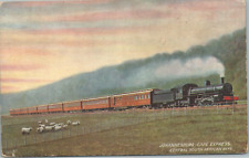 Johannesburg Cape Express Central African Railway Tucks Vintage Postcard picture