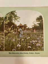 Stereoview Stereograph The Beautiful Iris Fields Tokyo Japan Garden  picture