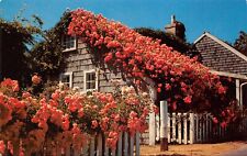 Nantucket Island Siaconset MA Massachusetts Rose Covered Cottage Postcard 7205 picture